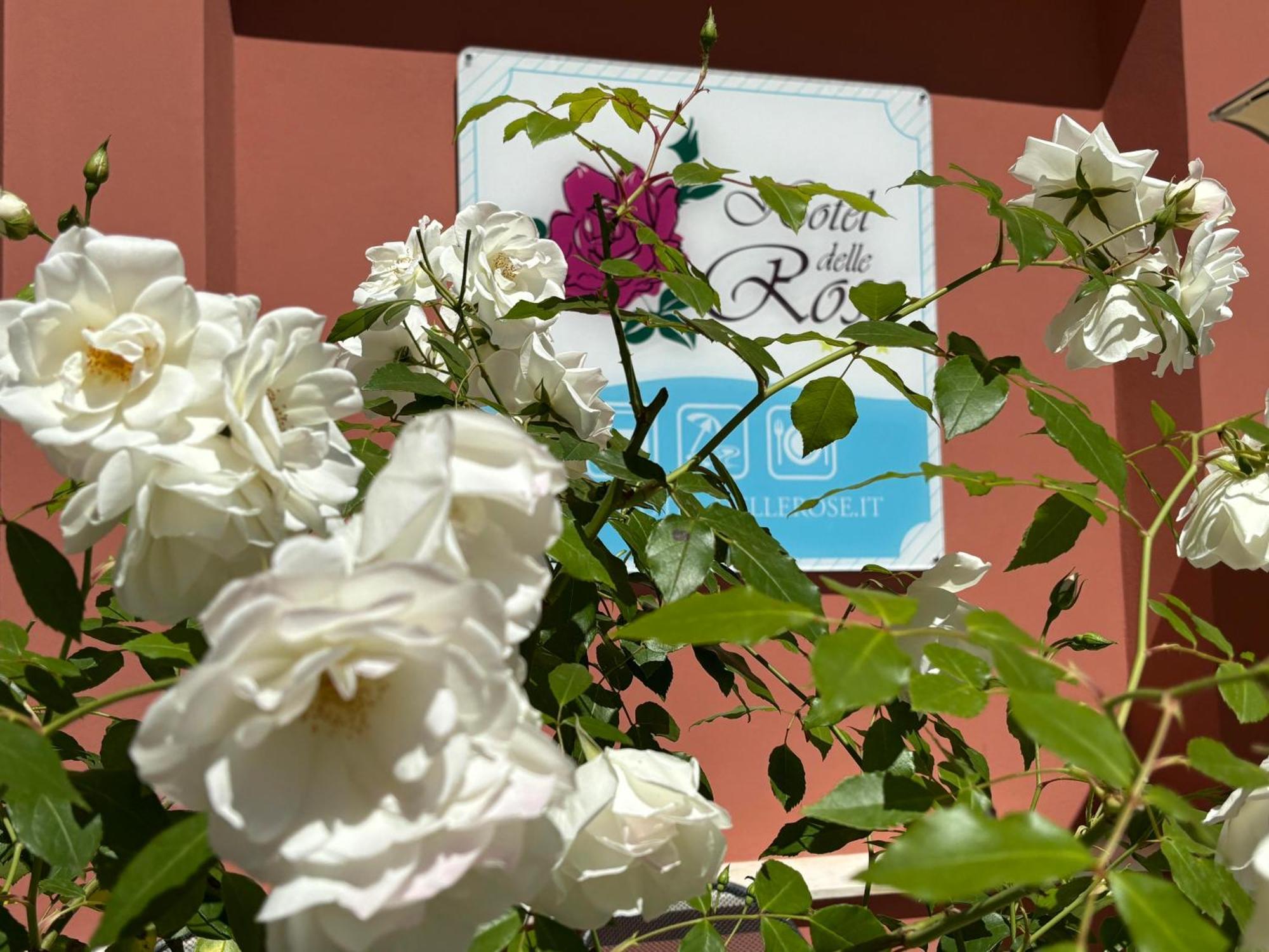 סן ברתולומיאו אל מארה Hotel Delle Rose מראה חיצוני תמונה